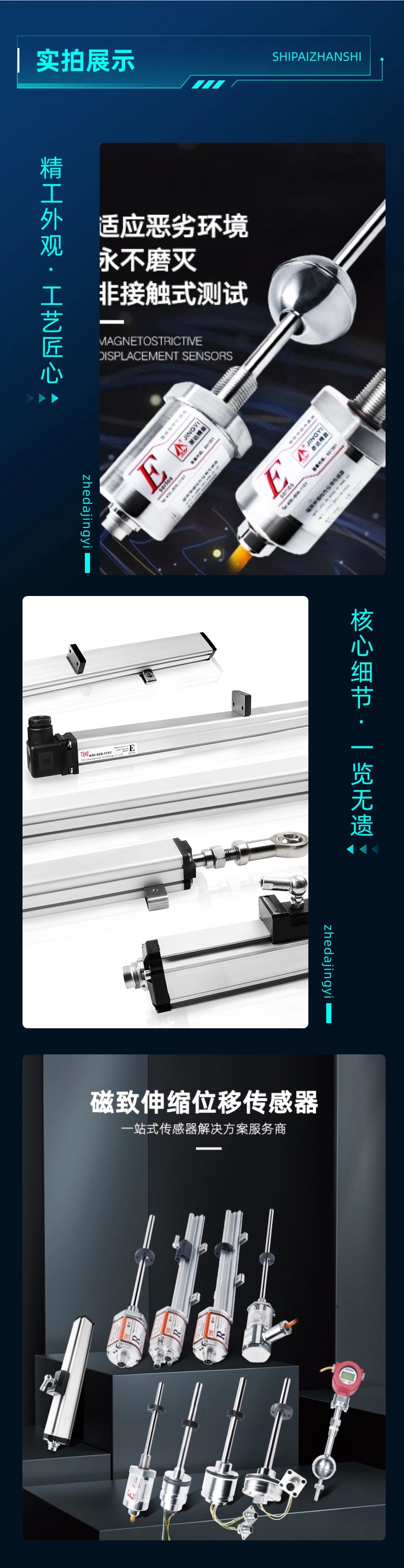 EJ磁致伸縮浮球液位計(圖10)